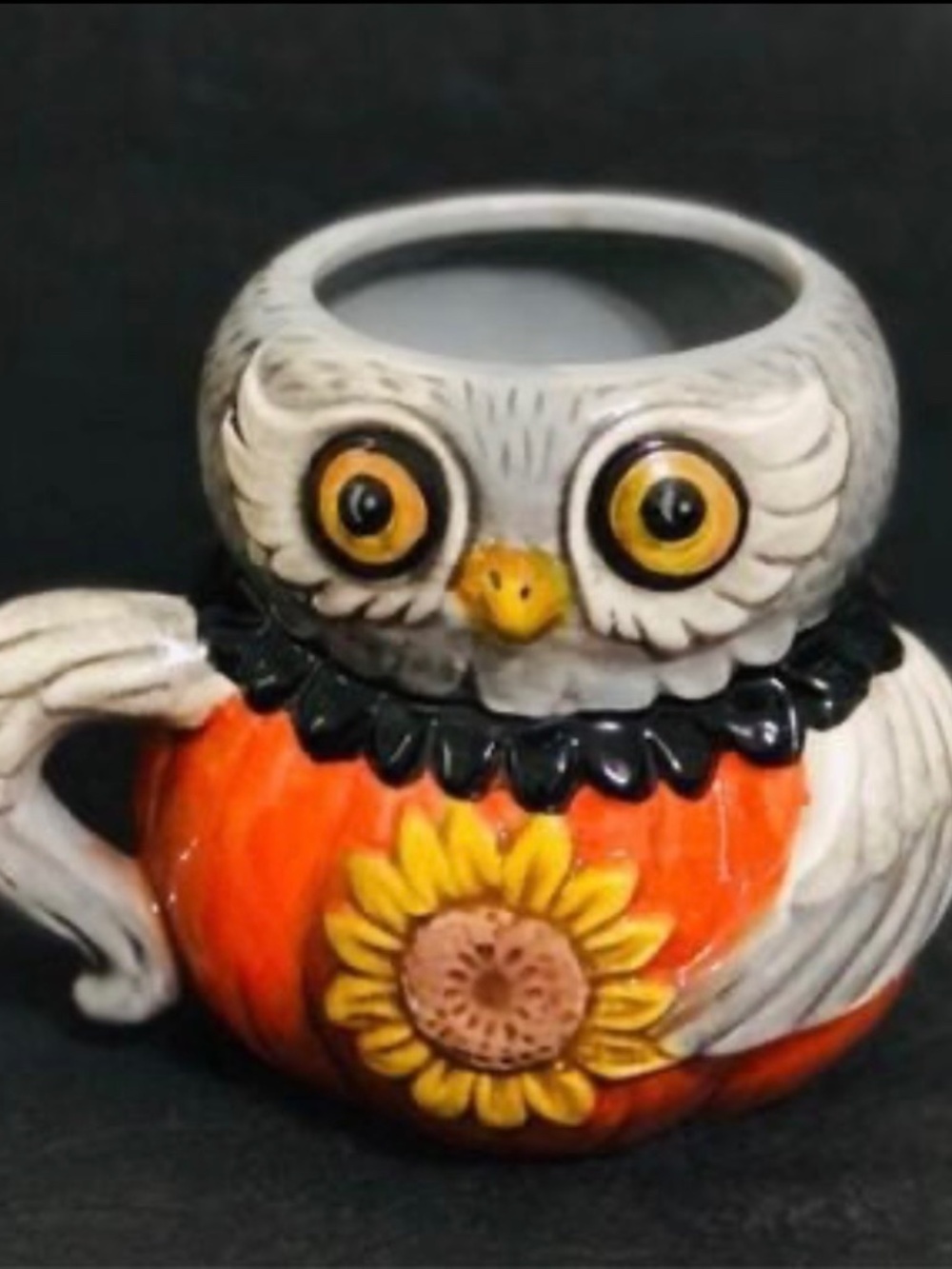 NEW Johanna Parker Harvest Critter Fall Owl Mug.